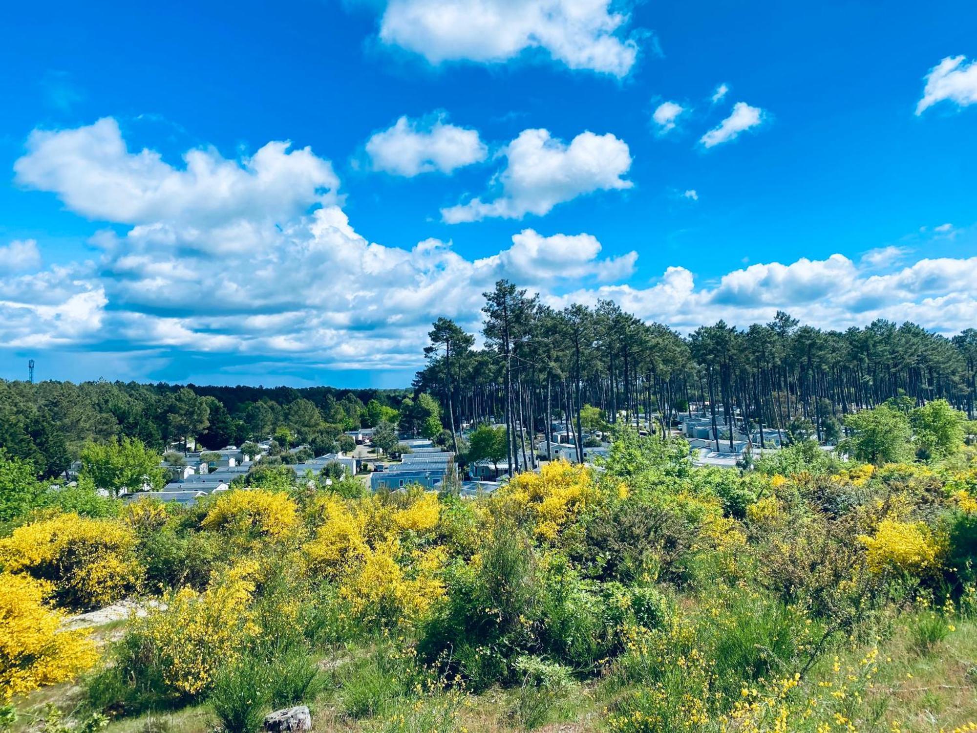 Mobile Home - Les Dunes De Contis Saint-Julien-en-Born Buitenkant foto