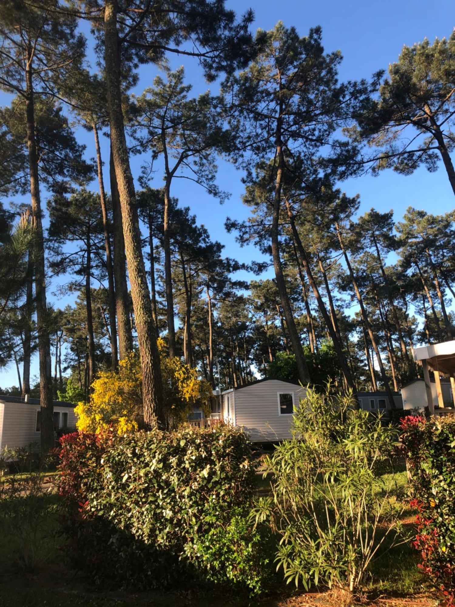 Mobile Home - Les Dunes De Contis Saint-Julien-en-Born Buitenkant foto